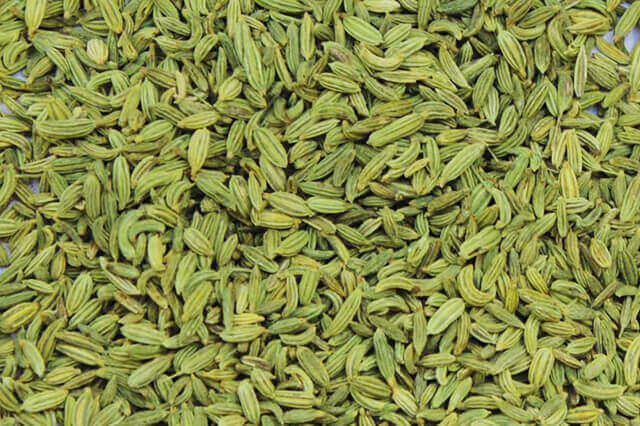 fennel seeds India