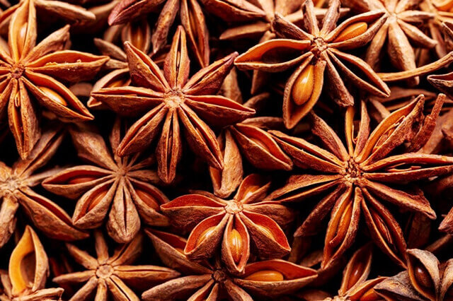 indian star aniseed