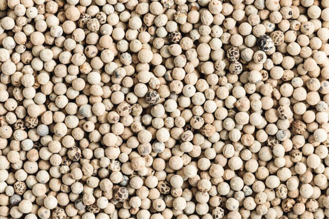 white pepper from india