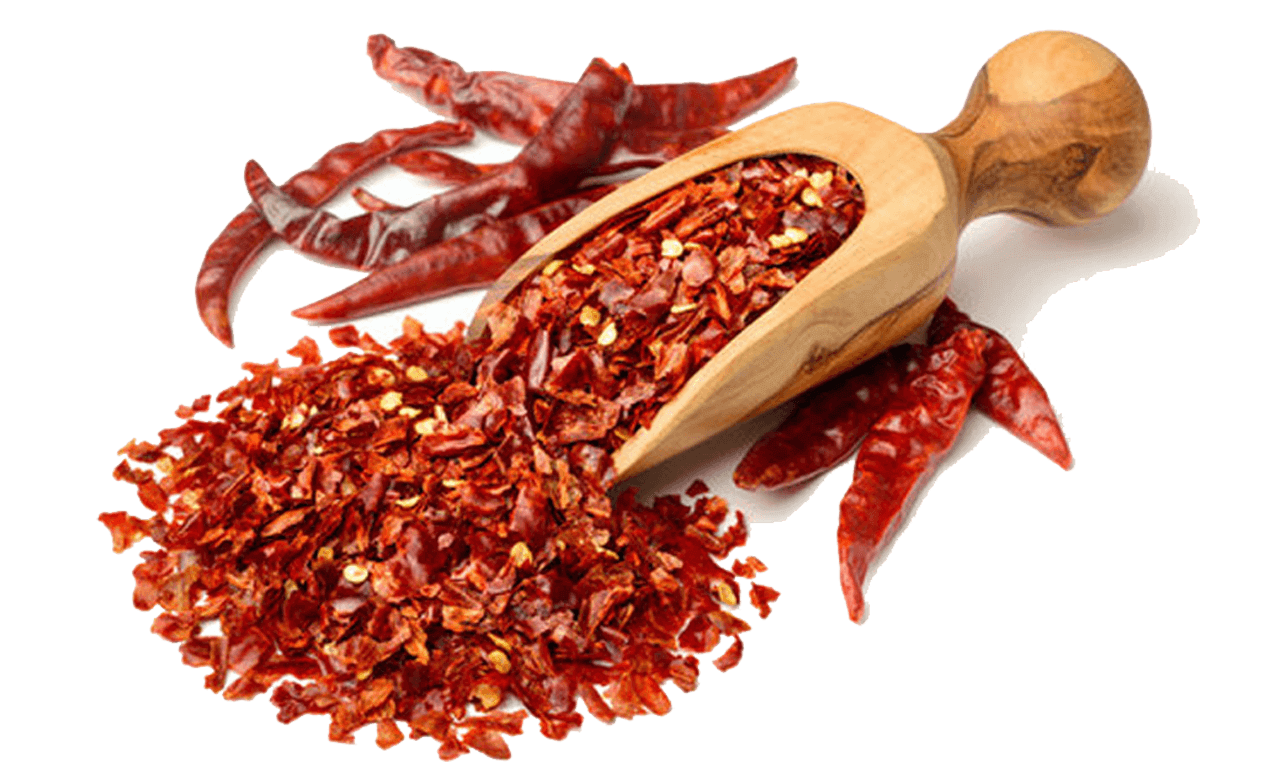 red chilli exporters