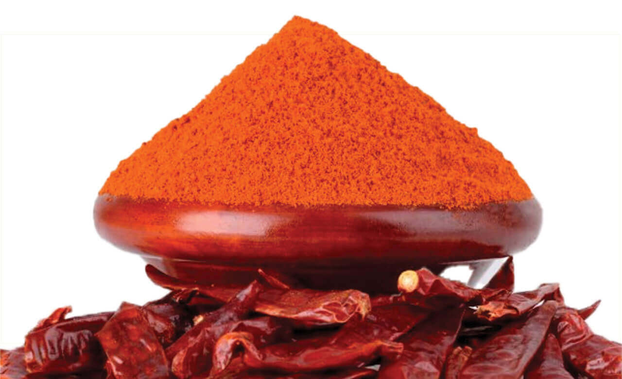 red chilli suppliers in india