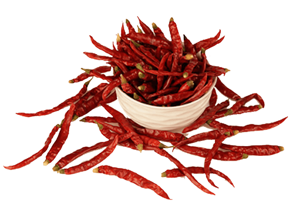 red chilli powder manufacturers