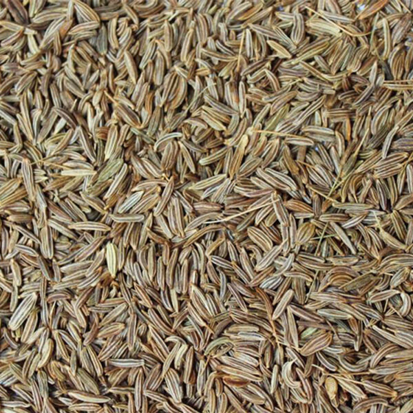 cumin seed from india