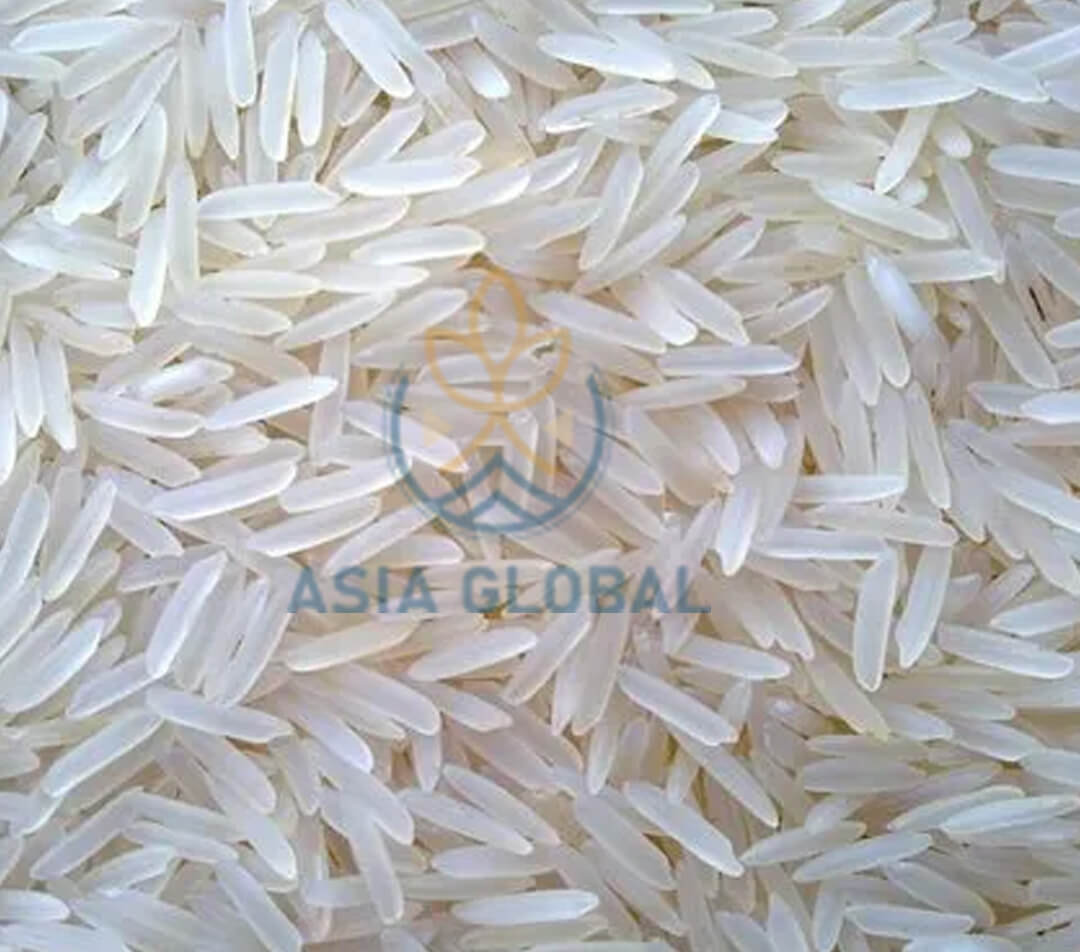 Indian non-basmati rice exporters
