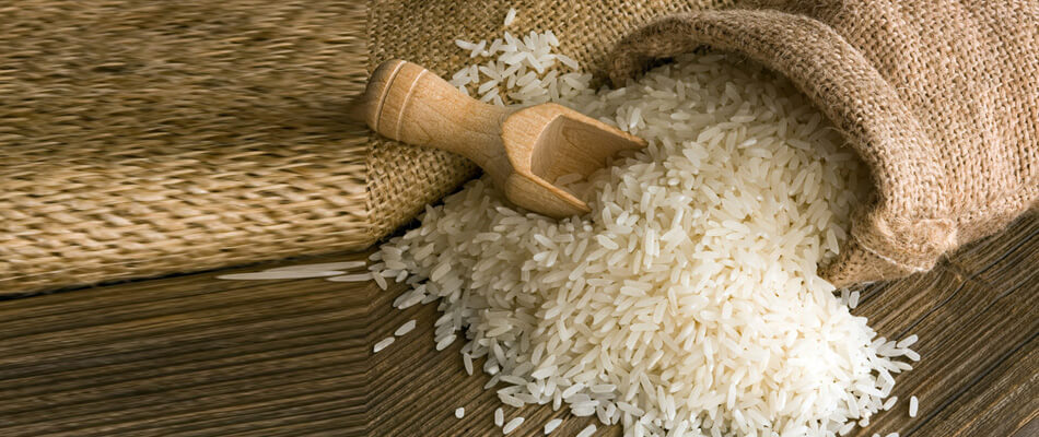 wholesale rice dealers
