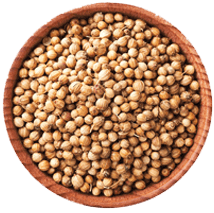 coriander seeds suppliers in India