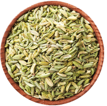 fennel seeds exporter