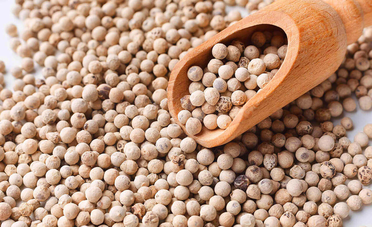 india white pepper suppliers
