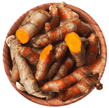 turmeric export from india