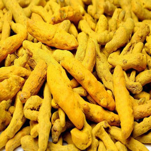 export turmeric from india